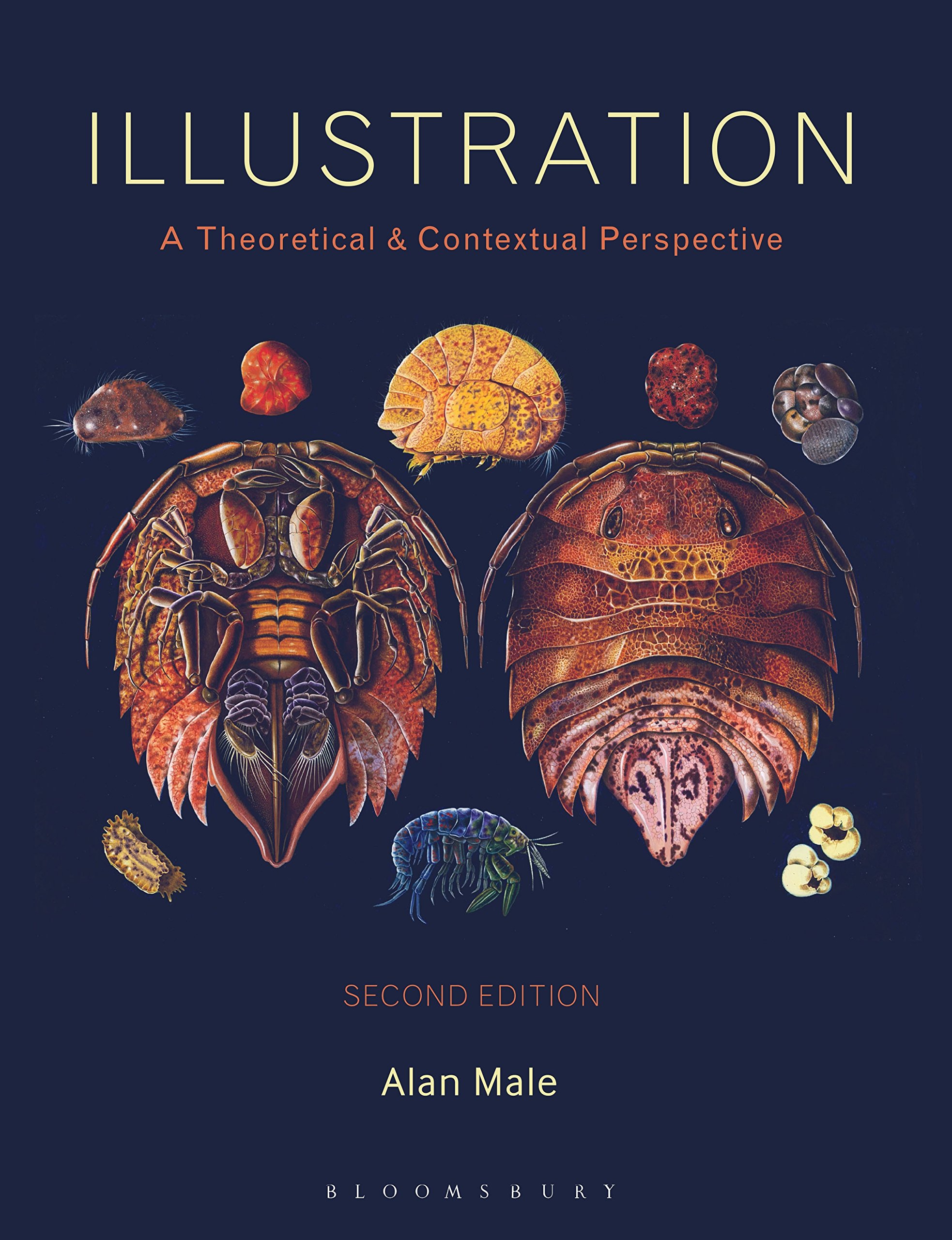 Illustration: A Theoretical and Contextual