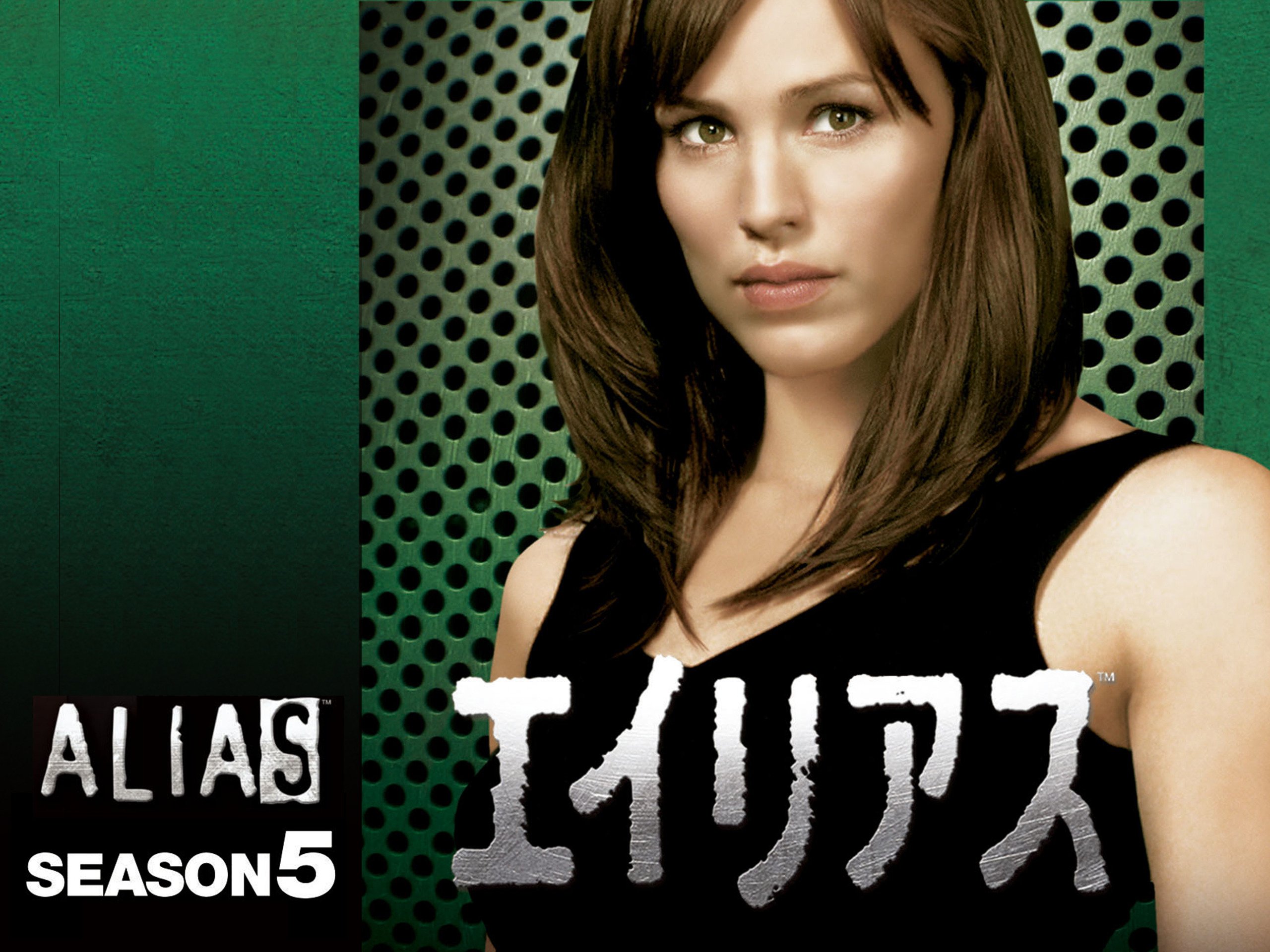 今日のエイリアス 外国人の作る日本 雑雪帳