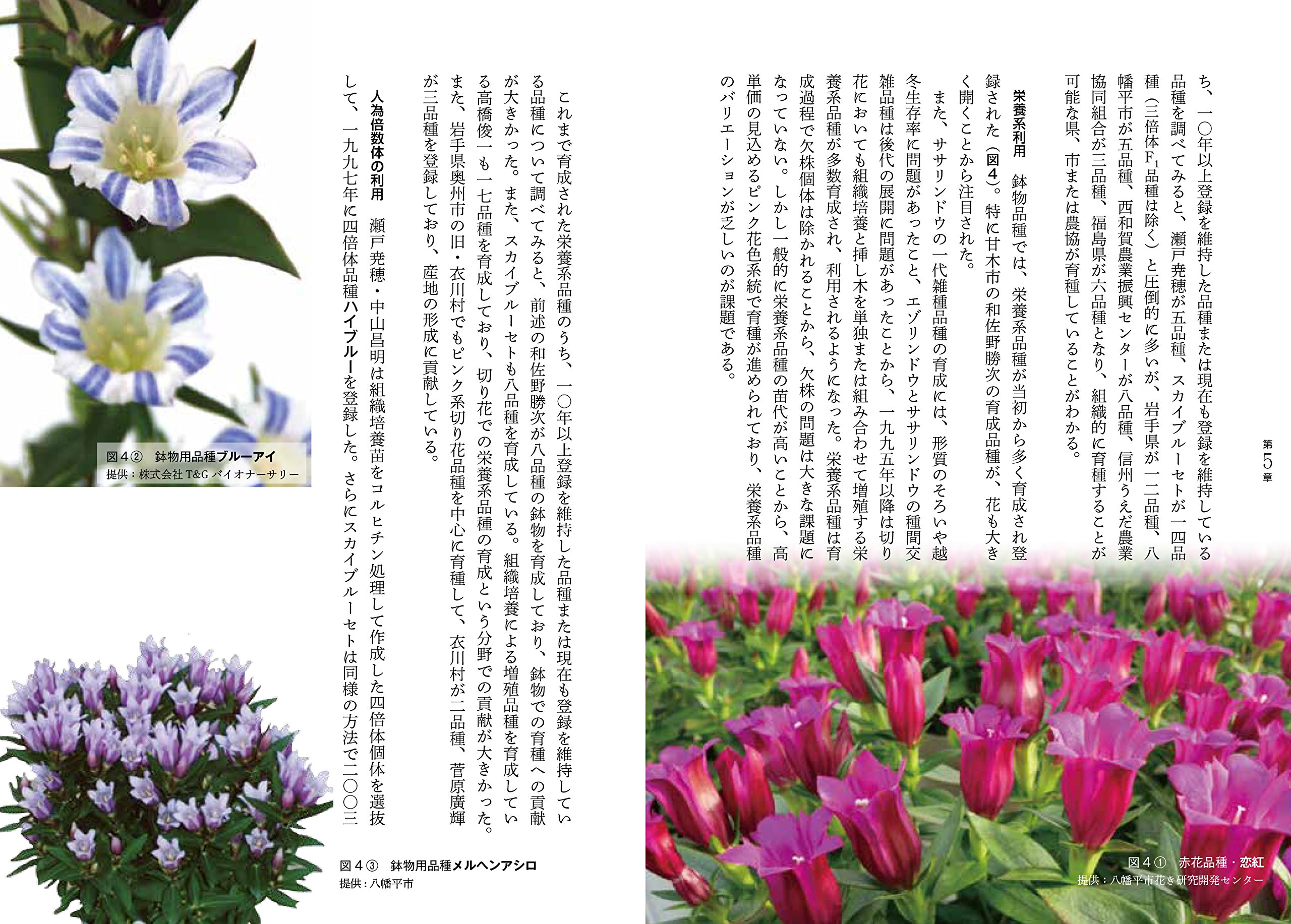 カラー版 花の品種改良の日本史 柴田 道夫 本 通販 Amazon