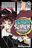 Demon Slayer: Kimetsu no Yaiba, Vol. 20: The Path
