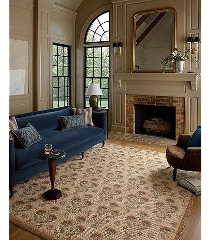 Amazon.com: Loloi Chris Loves Julia Dorothea Collection DRT-02