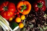 Scott&Co Salad Seed Kit 10 Vegetable Varieties Grow Your Own Veg view 8