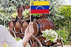 50 Pack Venezuela Venezuelan Flags on Stick - Mini