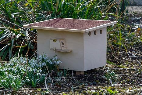 dobar 28275e Caja de abejos Profesional Grande con tejado de betún ...