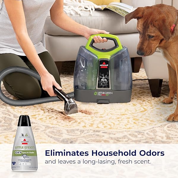 BISSELL LITTLE GREEN FORMULA