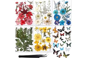 Augshy Real Dried Pressed Flower Set with Butterfly Transparent Stickers Scrapbook Decals Natural Dried Flowers Leaves with Tweezers for Resin Supplies DIY Candle Jewellery Making