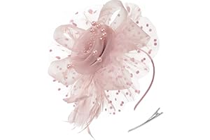 Zivyes Fascinators Hats for Women Tea Party Hat Kentucky Derby Hat Wedding Headpiece Feather Mesh Hair Clip