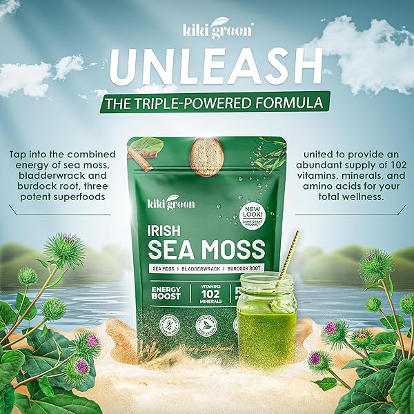 KIKI GREEN IRISH SEA MOSS POWDER 8 OZ – WITH BLADDERWRACK BURDOCK ROOT EXTRACT FOR IMMUNE SUPPORT – KETO, VEGAN SUPPLEMENT