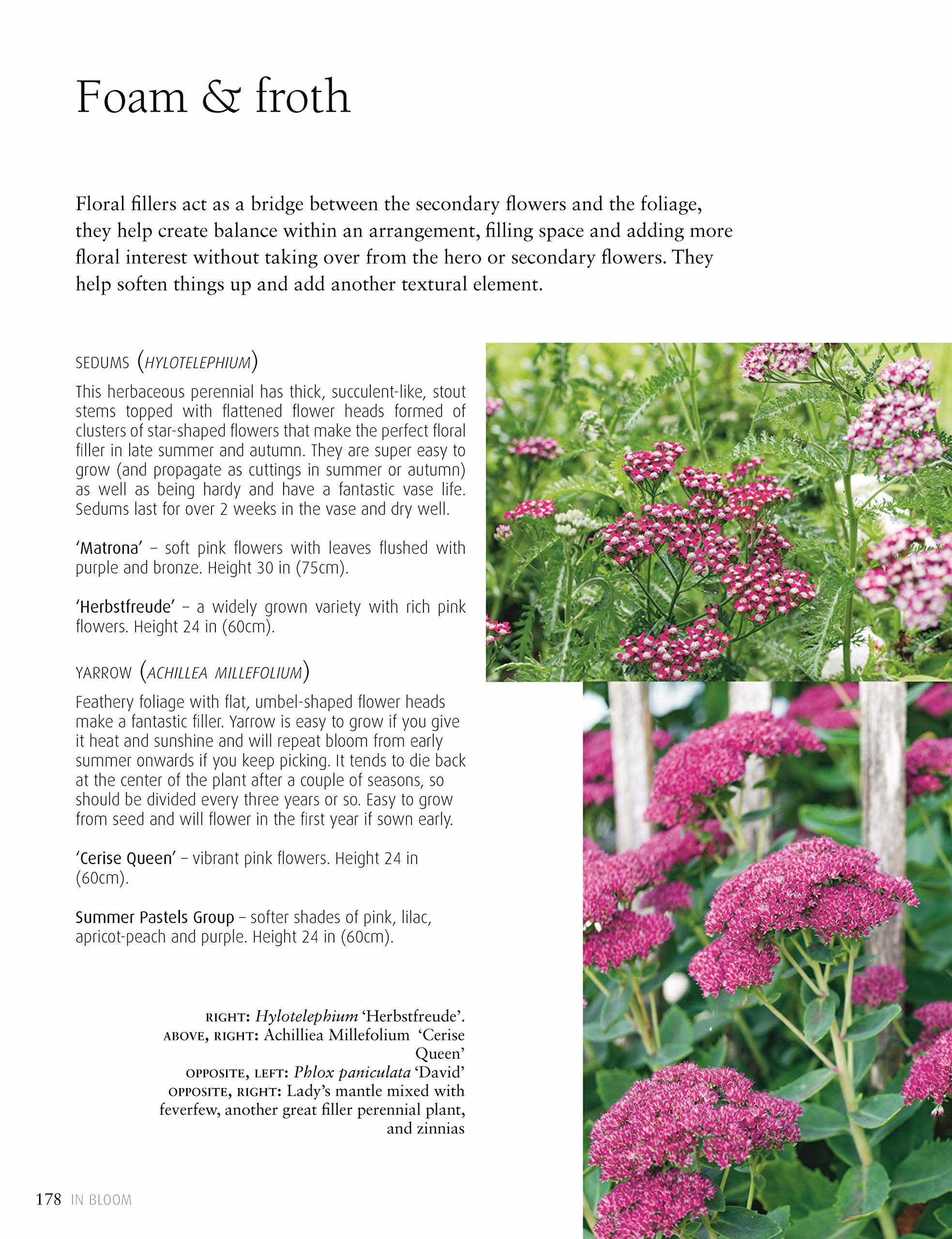 In Bloom: Growing, Harvesting, and Arranging Homegrown Flowers All Year Round (CompanionHouse Books) Create a Perfect Garden of Color, Texture, & Shape with Annuals, Perennials, Shrubs, Trees, & More