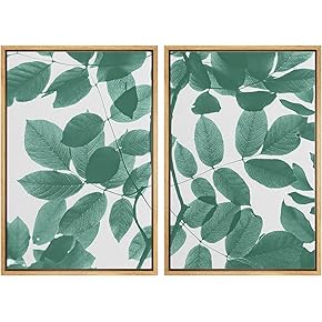 SIGNWIN Framed Wall Art Print Set Eaucalyptus Leaves...