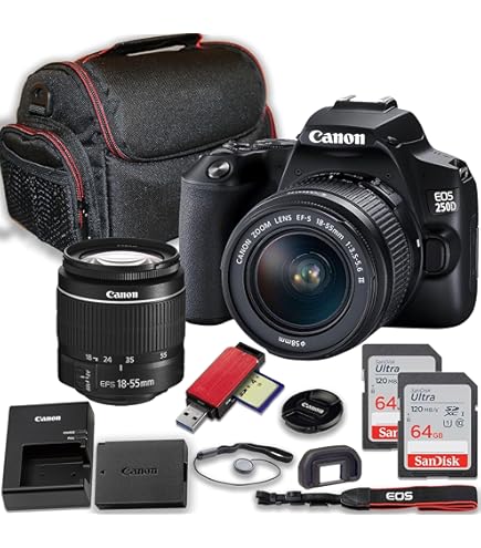 デジタルカメラ Canon EOS 250D (w/ complete creator kit) Shop Canon VR Content Creator Kit | Canon U.S.A., Inc.