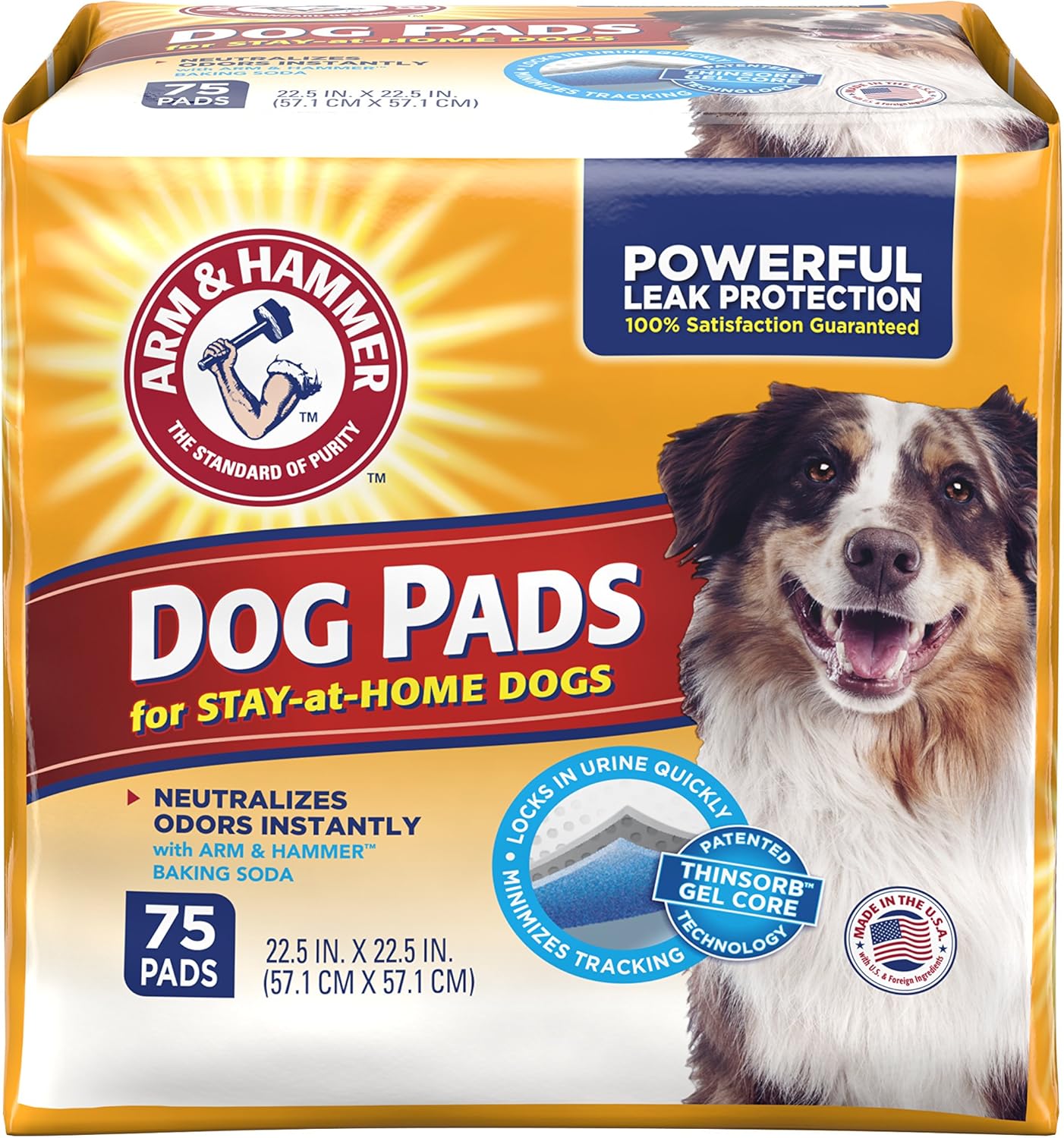arm and hammer dog pads