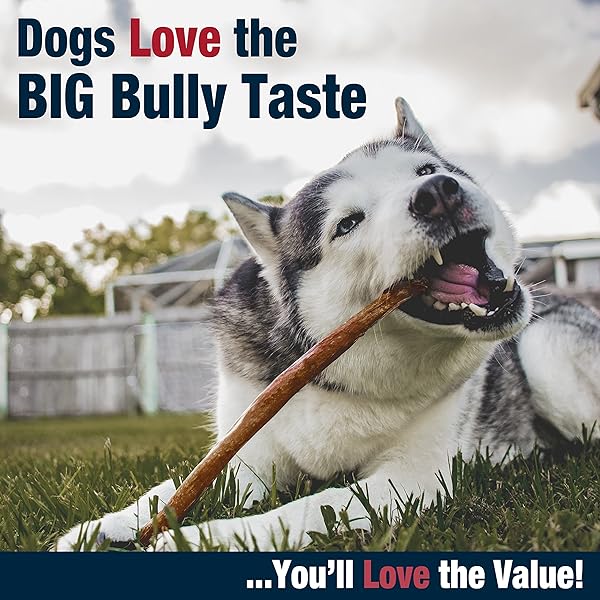 CADET BULLY HIDE STICKS FOR LARGE DOGS, ALL-NATURAL BEEF PIZZLE, LIMITED-INGREDIENT LONG-LASTING DOG CHEWS FOR AGGRESSIVE CHEWERS, 7 COUNT