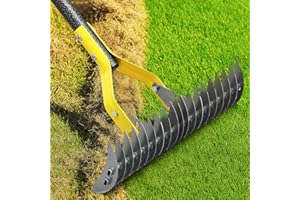 COGARDENSHOWER Heavy Duty Thatch Rake for Lawns -15" Dual-Action Dethatcher Thatching Rake with Sharp Blade for Dead Grass Removal,Soil Loosening,Lawn Dethatching,70" Manual Thatcher for Yard,Garden, Lawn