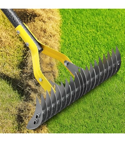Truper Garden Pro Rastrello Per Foglie In Acciaio – Manico In Frassino 48 Pollici, Resistente E Durevole