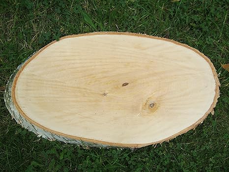 Holzscheibe Baumscheibe Birkenscheibe oval ca. 40x20