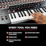 M-Audio Oxygen Pro 61 MIDI Keyboard Controller with NKS Beat Pads Faders view 8