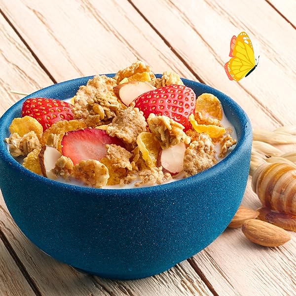 CASCADIAN FARM ORGANIC HONEY OAT CRUNCH CEREAL WITH ALMONDS, NON-GMO, 14.4 OZ.