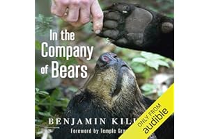 In the Company of Bears: What Black Bears Have Taught Me About Intelligence and Intuition