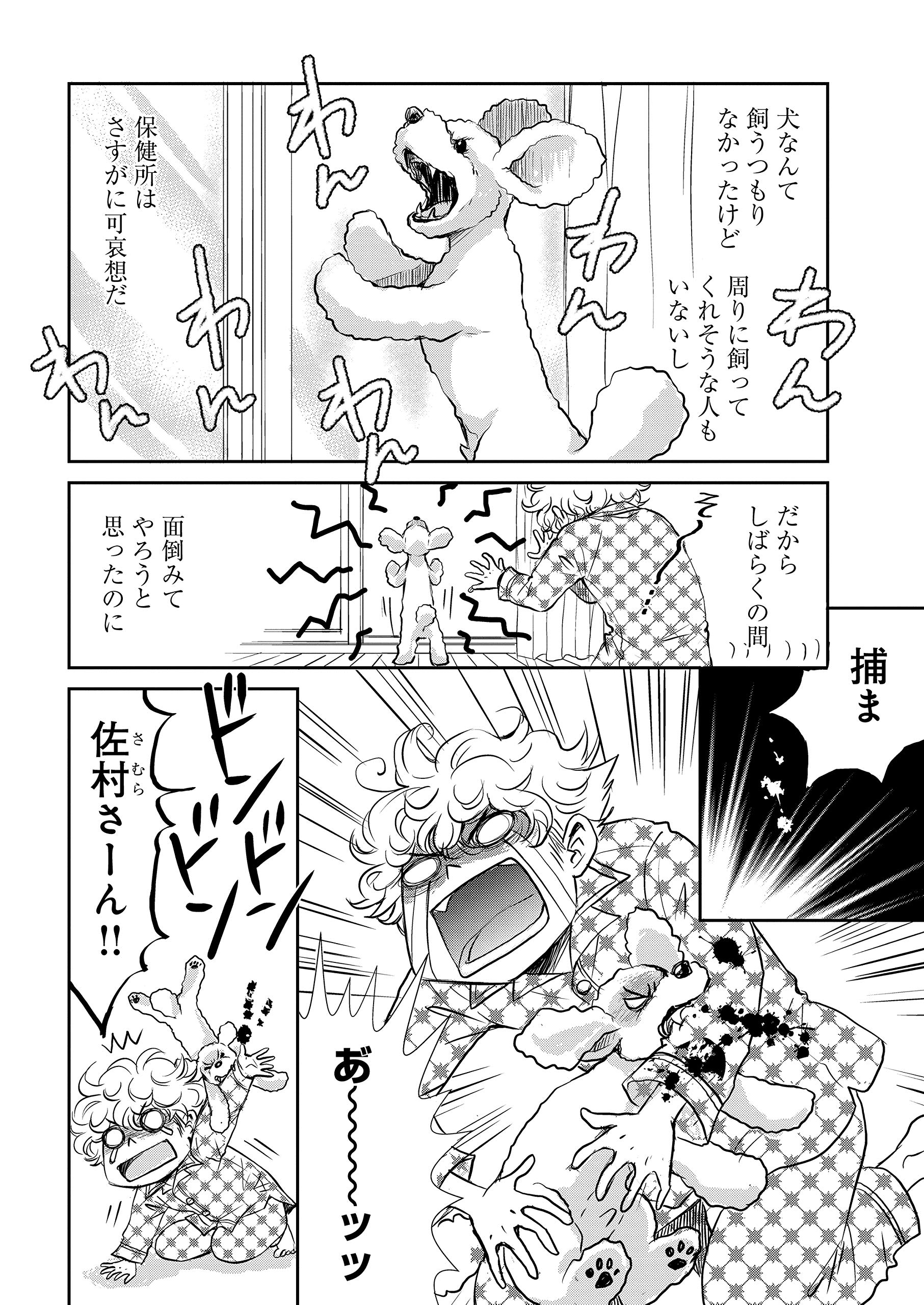 Dog Signal 1 Bridge Comics みやうち 沙矢 本 通販 Amazon