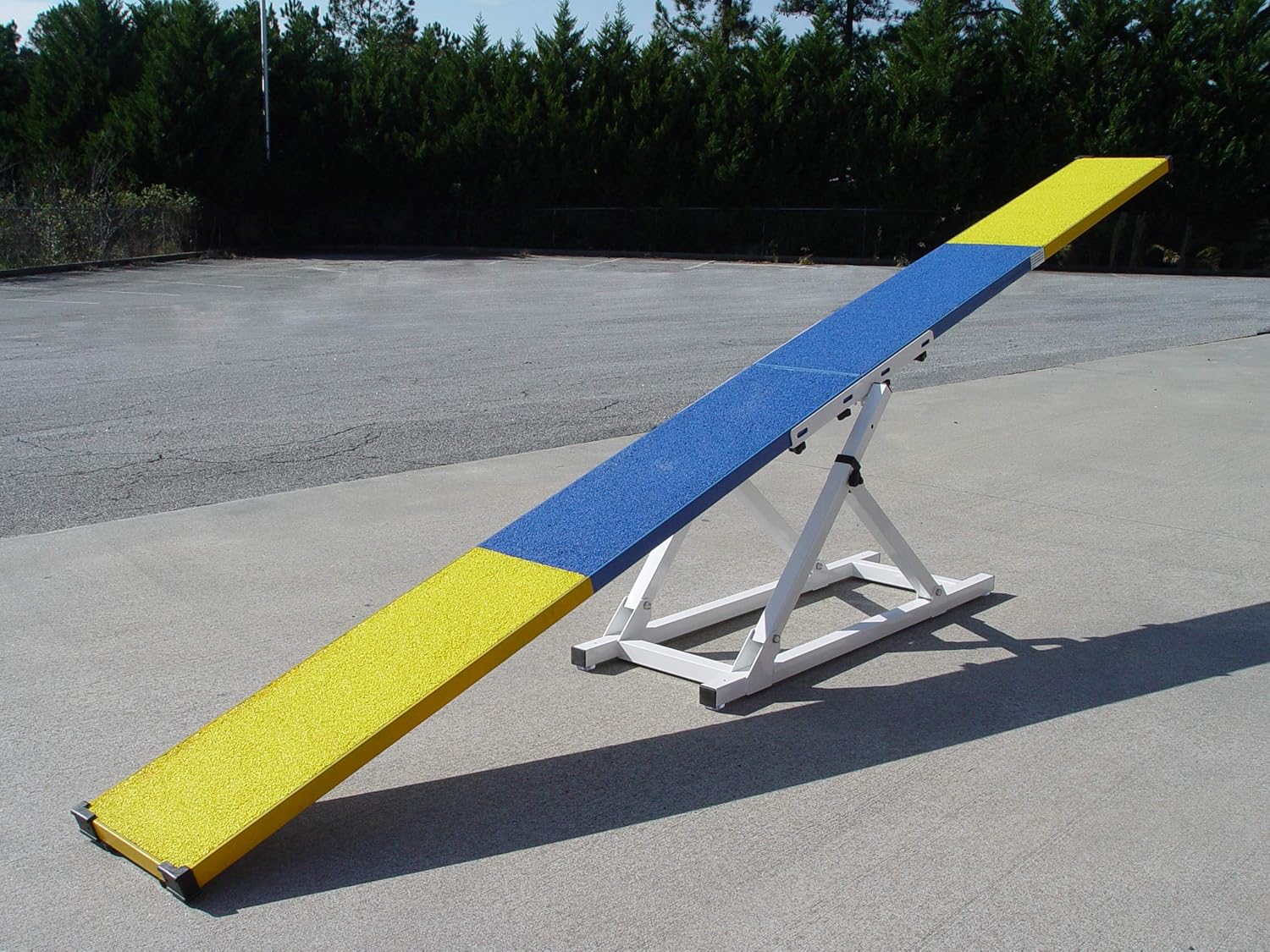 dog agility seesaw