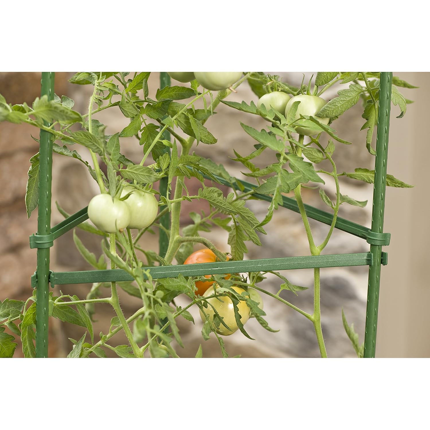 Tomato Plant Climbing Trellis 3pc Vegetable Garden Plastic Support Cage