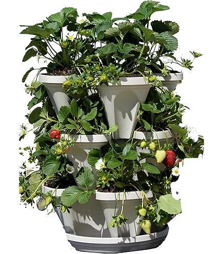 Amazon.com: Mr. Stacky 3 Tier Stackable Herb Garden Planter Set