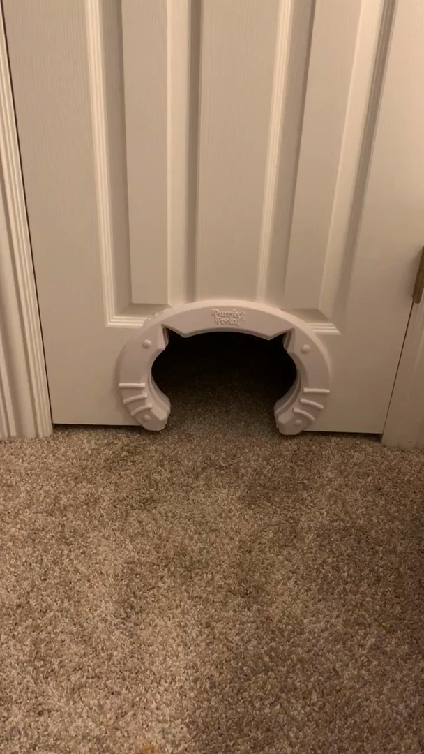Customer reviews Purrfect Portal XL Pet Cat Door for