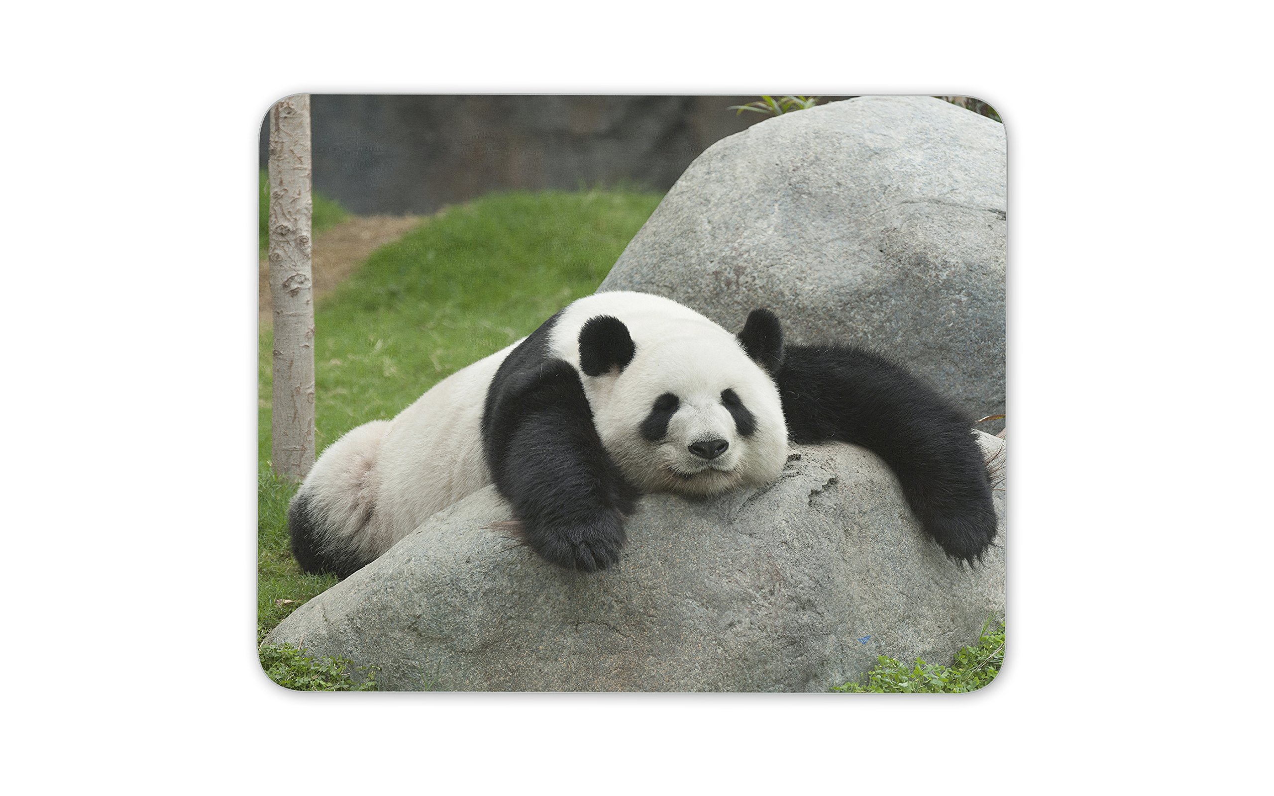 Adorable Panda Bear Mouse Mat Pad - Bears Animal Kids Fun Gift PC Computer #8307