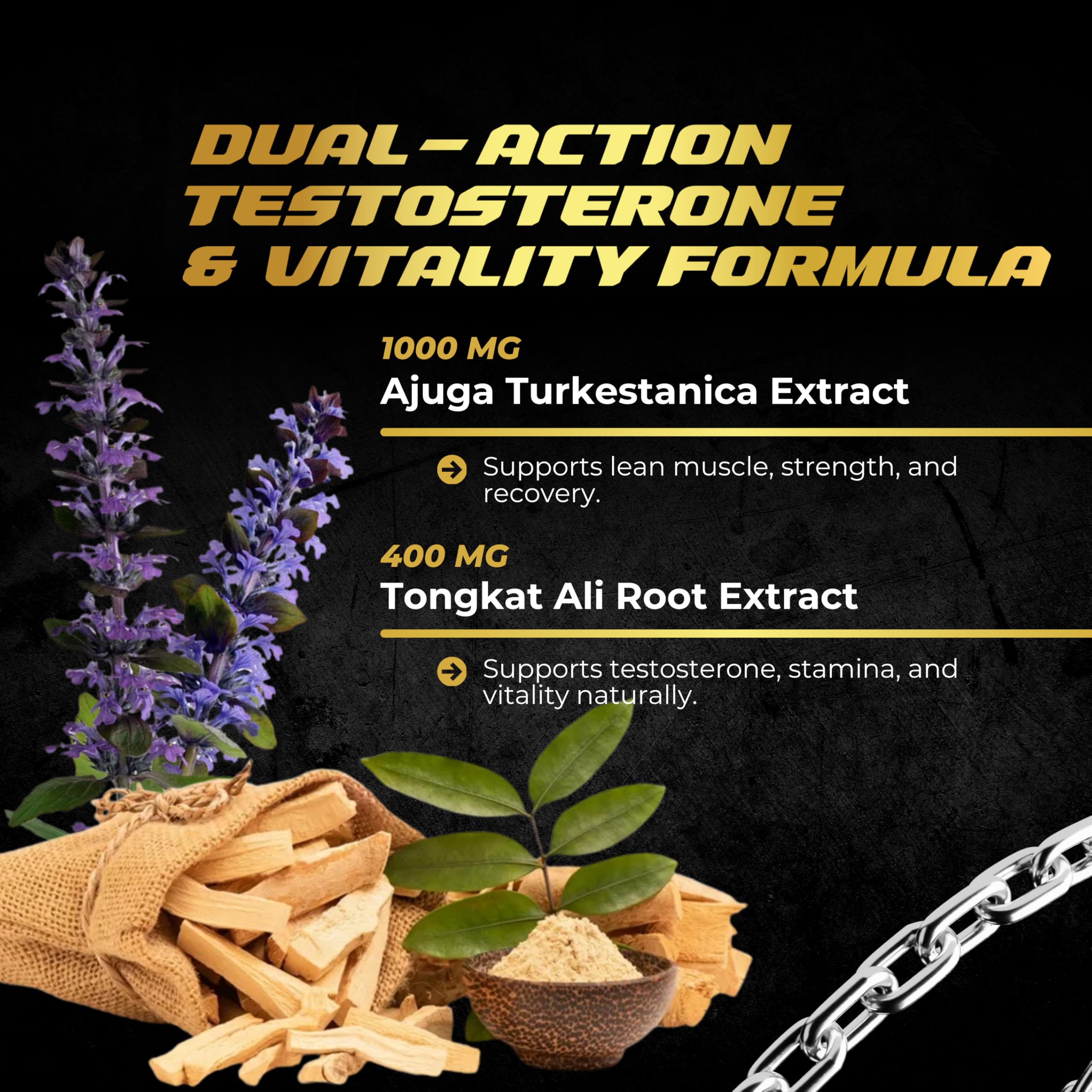 Turkesterone Tongkat Ali for Men and Women – 2-in-1 Natural Testosterone Support for Energy & Fitness - High Potency Turkesterone Supplement for Men with Tongkat Ali –– Pure Non-GMO Formula
