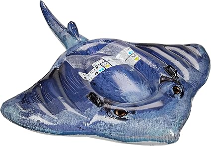 stingray pool float