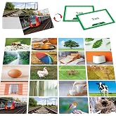 50 Go Together Flashcards, Realistic Matching Picture Cards for Kids &amp; Adults, Word Builder Visual Aid Language Learning Tool for Autism, ESL Teaching Materials, Speech Therapy, School Supplies