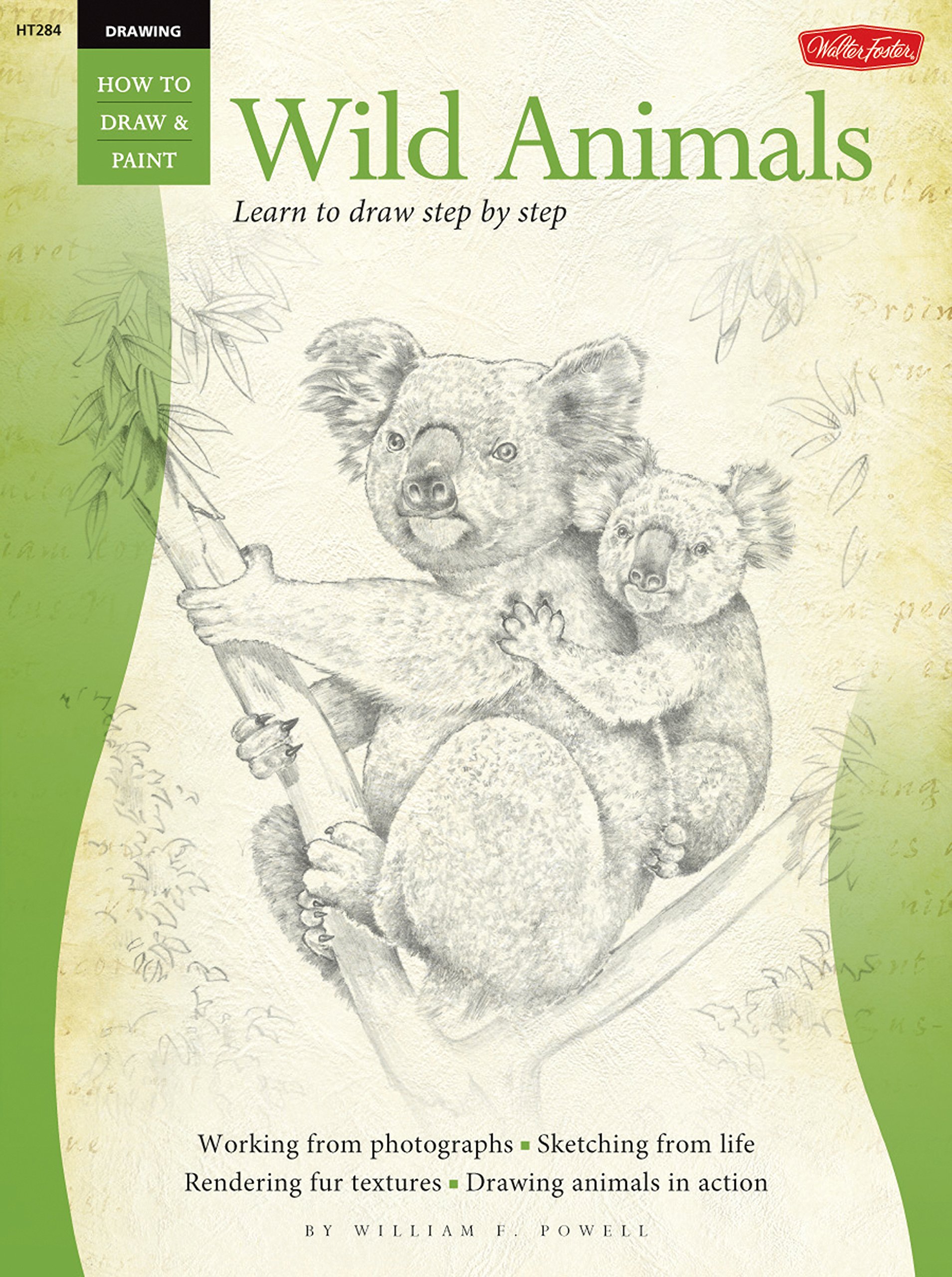 Drawing Wild Animals Learn To Draw Step By Step How To Draw Paint Powell William F Amazon Com Books