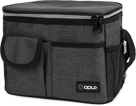 elle lunch bags costco