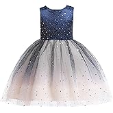 Glamulice Princess Sparkle Tulle Dress Little/Big Girls A Line Bridesmaid Wedding Birthday Party Pageant Tutu Dresses