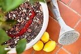 R&R SHOP Chelated Iron EDDHA 45g Organic Agriculture Plant Growth view 2
