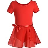 DANSHOW Girls Short Sleeve Leotard with Skirt Kids Dance Ballet Tutu Dresses