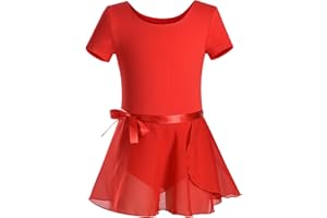 DANSHOW Girls Short Sleeve Leotard with Skirt Kids Dance Ballet Tutu Dresses