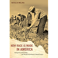 How Race Is Made in America: Immigration, Citizenship, and the Historical Power of Racial Scripts (American Crossroads… book cover