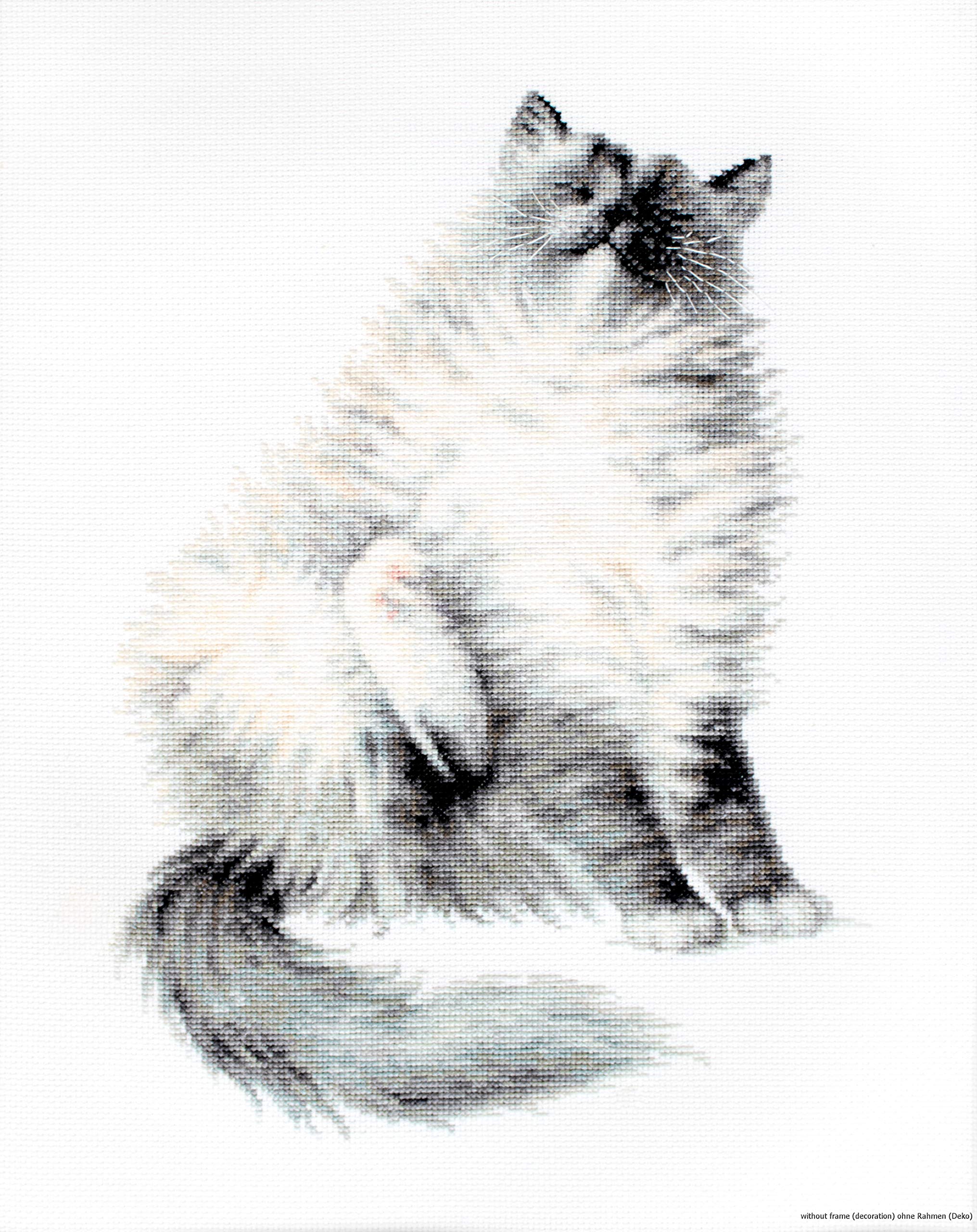 Lucas-S Micky Counted Cross Stitch Kit, Pack of 1