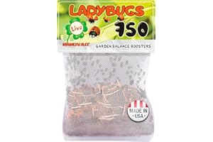 NANOVAC 750 Ladybugs Live for Garden - Hippodamia Convergens - Live Lady Bugs in a Mesh Bag