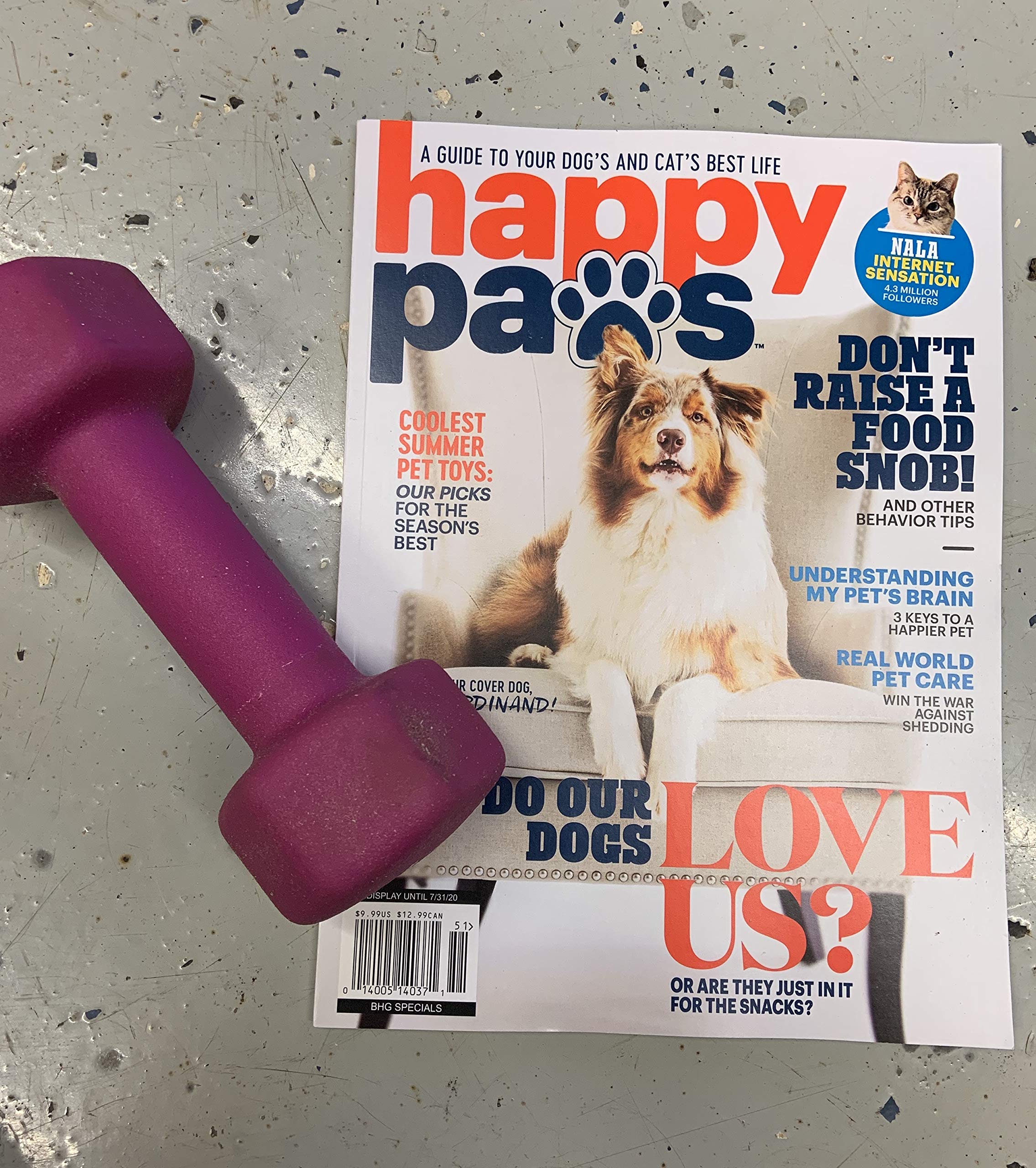 paws happy life amazon