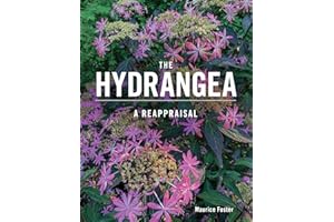 The Hydrangea: A Reappraisal
