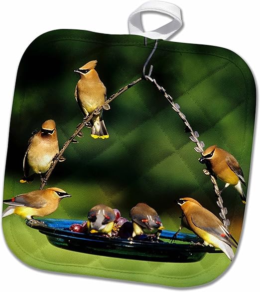Amazon Com 3drose Cedar Waxwings On Grape Jelly Birdfeeder