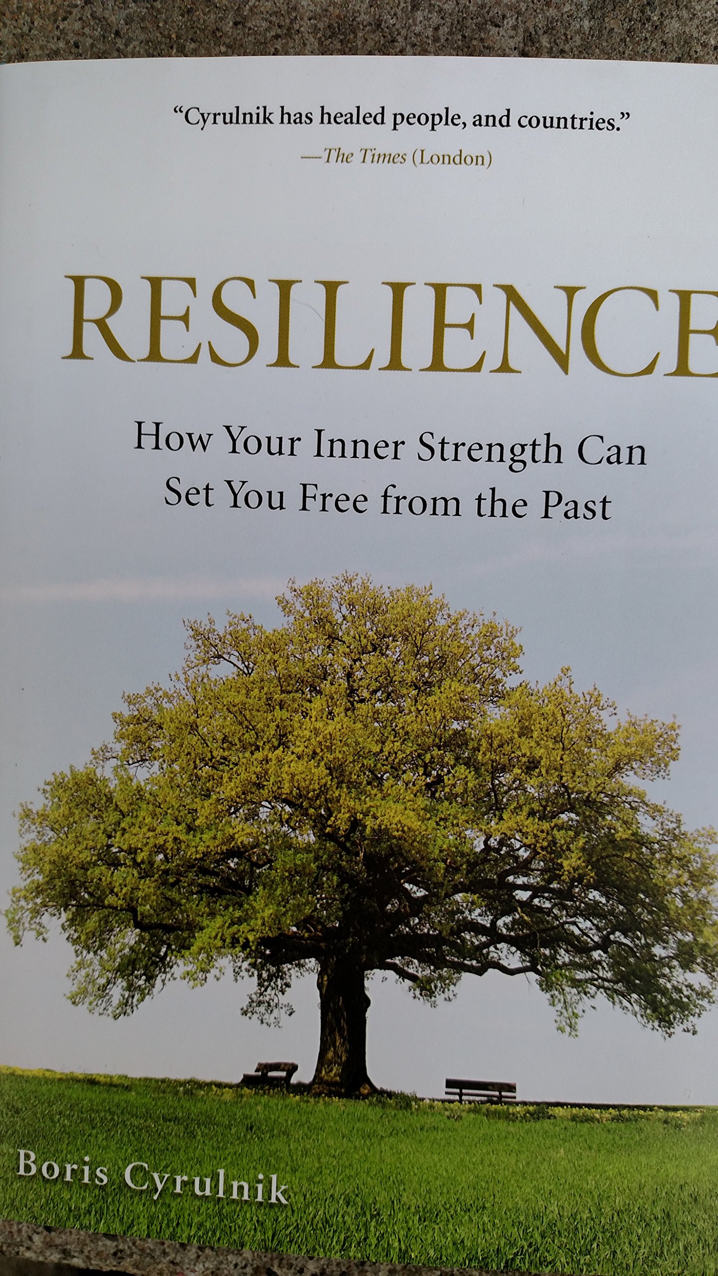 Resilience How Your Inner Strength Can Set You Free From - 