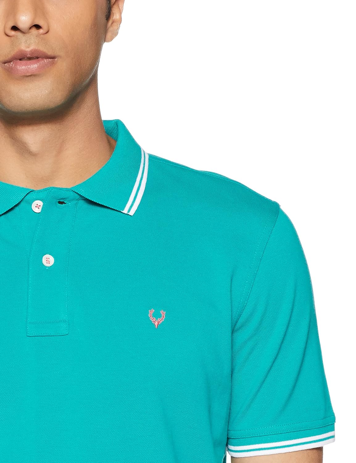 allen solly men's polo