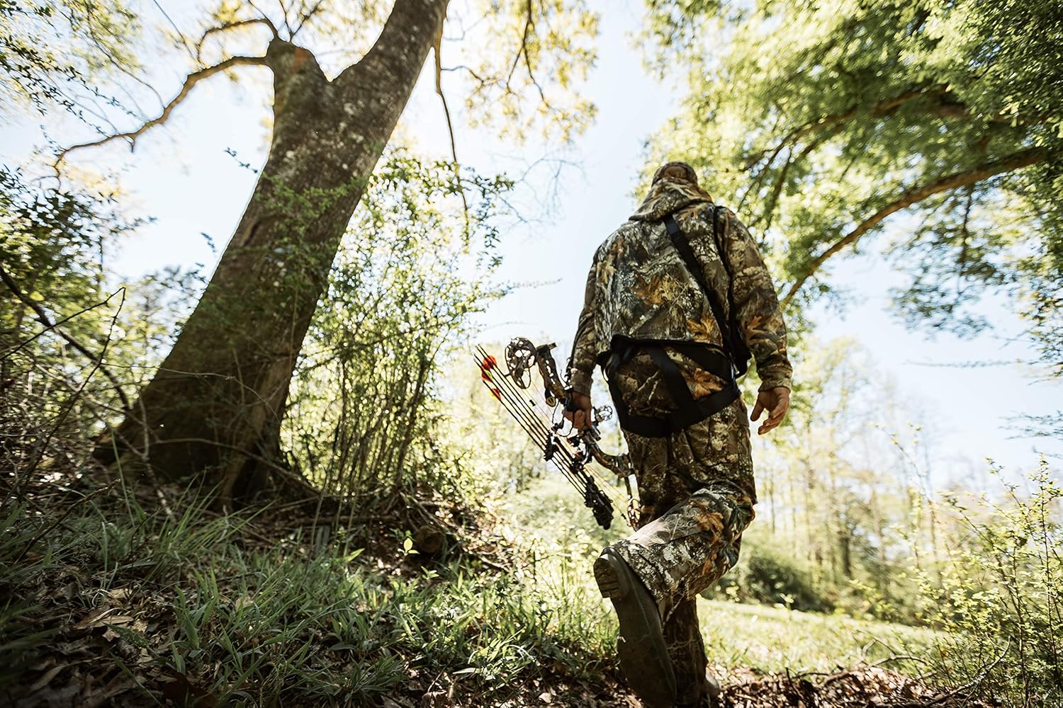 Hunter Safety System Treestalker Safety Harness : Sports & Outdoors