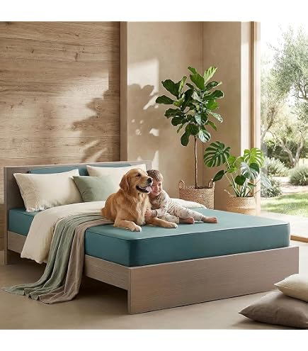 Amazon.com: RoamRest Ultimate Tri-Fold Van Mattress - 74