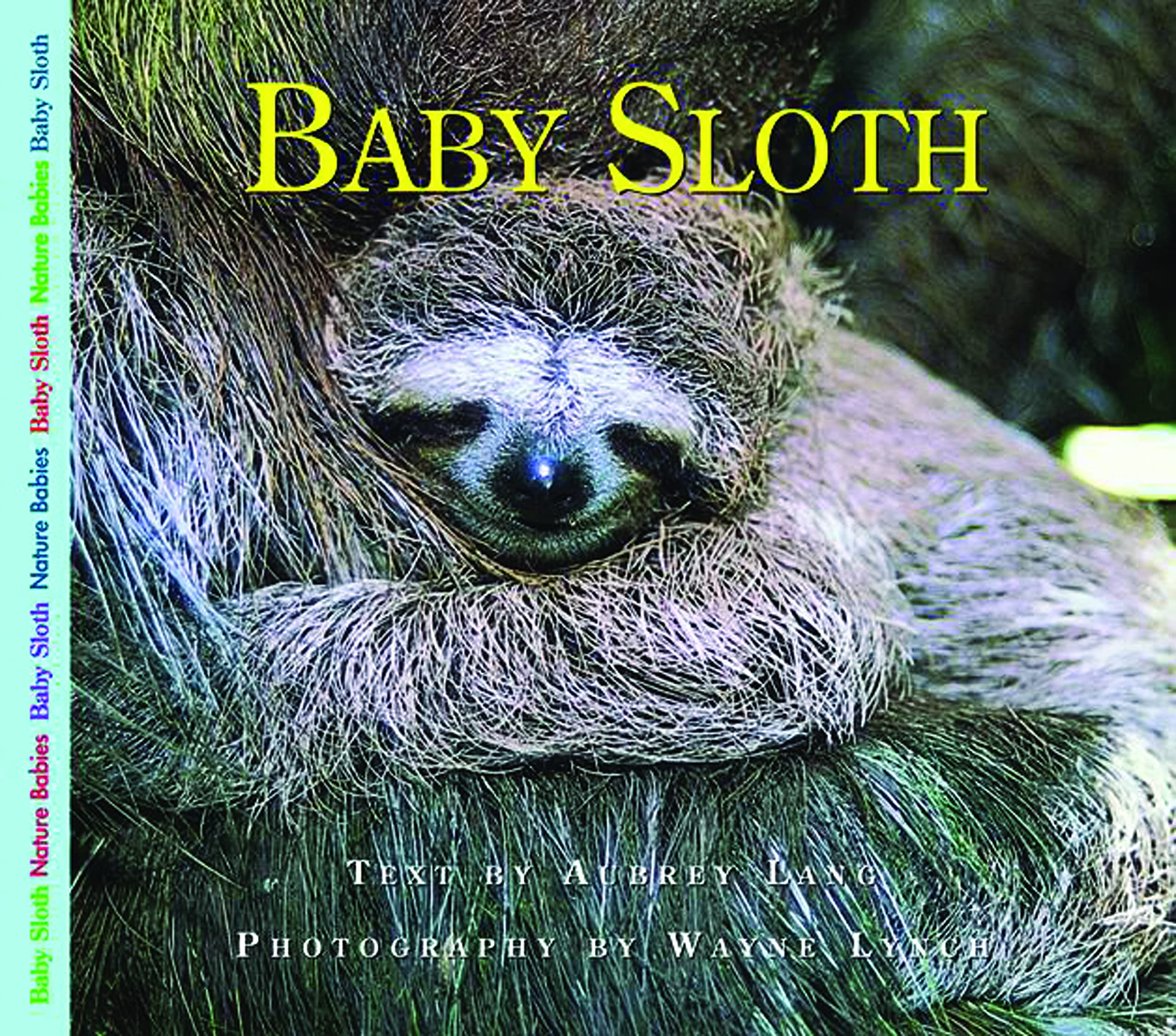 Buy Baby Sloth Nature Babies Book Online At Low Prices In India Baby Sloth Nature Babies Reviews Ratings Amazon In