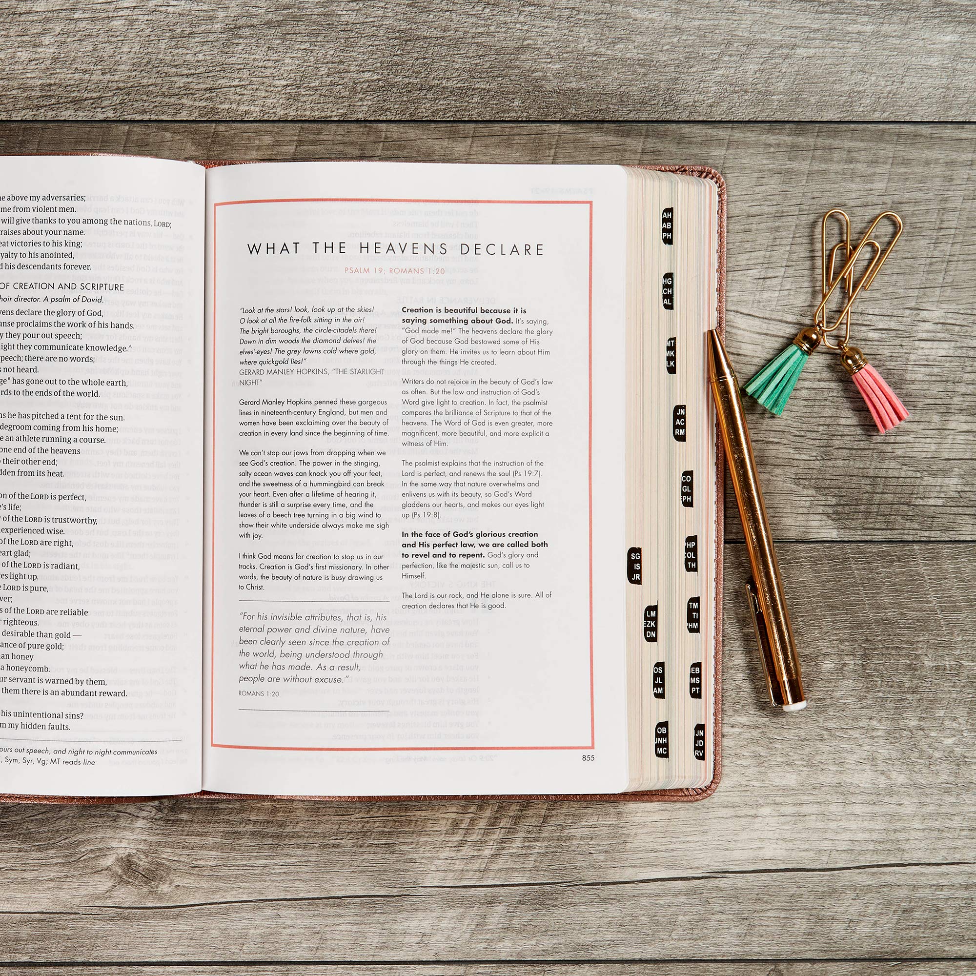 CSB She Reads Truth Bible, Rose Gold LeatherTouch, Indexed, Black Letter, Full-Color Design, Wide Margins, Journaling Space, Devotionals, Reading Plans, Single-Column, Easy-to-Read Bible Serif Type CSB She Reads Truth Bible, Rose Gold LeatherTouch, Indexed, Black Letter, Full-Color Design, Wide Margins, Journaling Space, Devotionals, Reading Plans, Single-Column, Easy-to-Read Bible Serif Type Imit